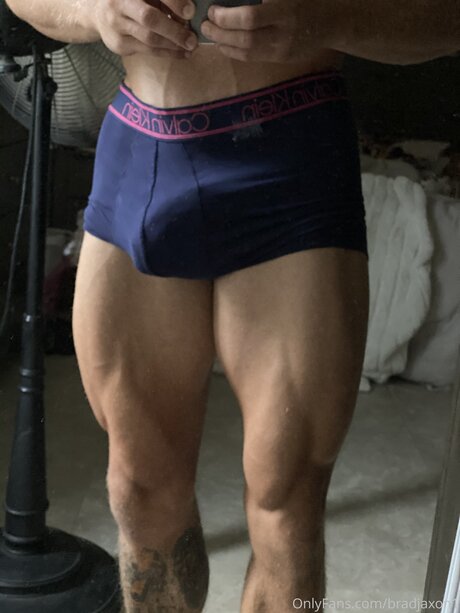 Bradfree estrella de alta definición recopilación