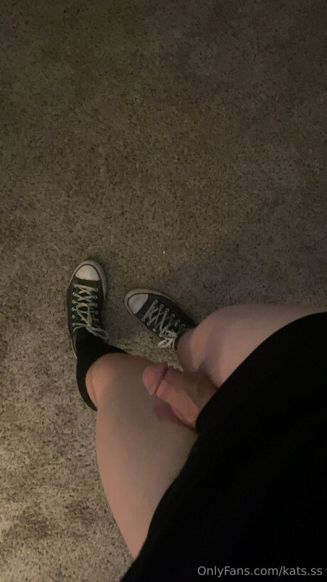 Kats Ss estrella hermosa galería