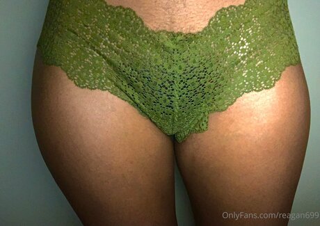 Reagan699 modelo adulto recopilación