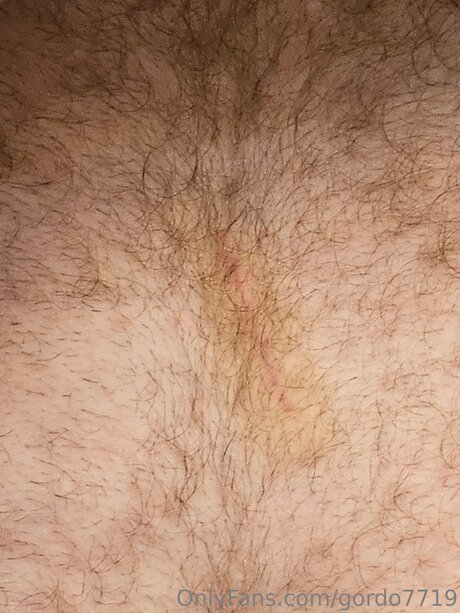 Gordo7719 modelo perfecto galerías