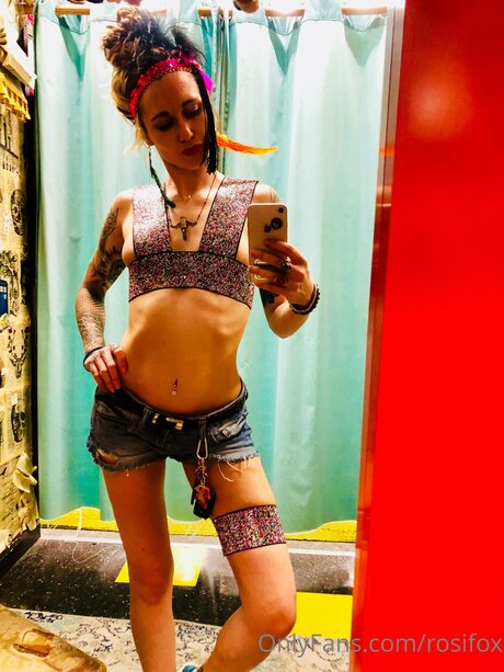 Rosifox hermosa estrella foto