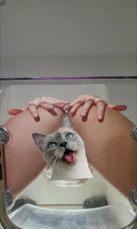 candycatcris estrella perfecta recopilación