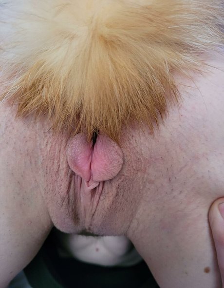 KyoshiPanties actriz de arte archivo