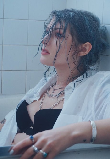 Mothica estrella libre imágenes