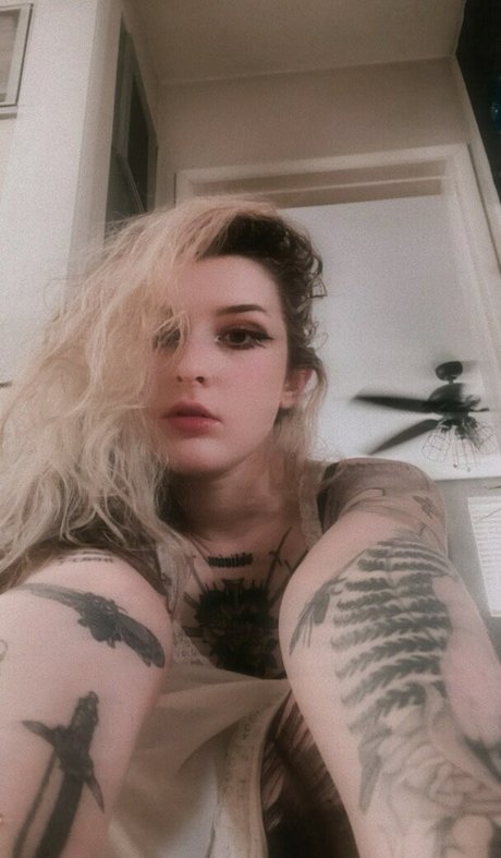 Mothica buena estrella porno galerías