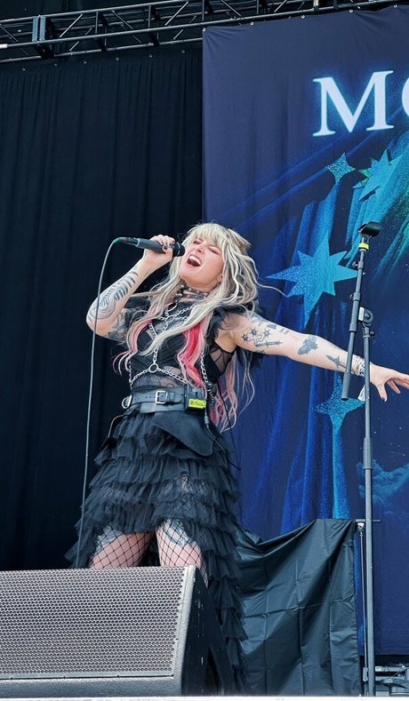 Mothica estrella de alta calidad imágenes