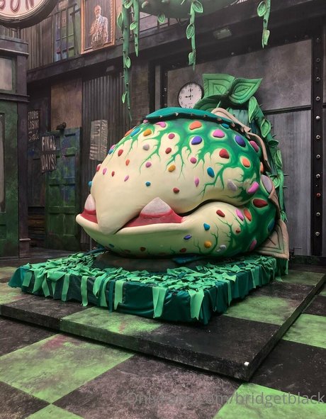 bridgetblack estrella hermosa galería