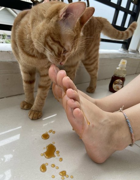 feetbecks estrella porno sexy imagen