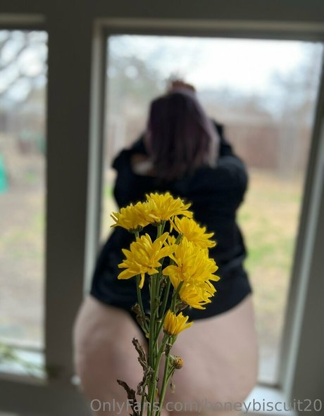 honeybiscuit20 modelo de alta calidad fotos