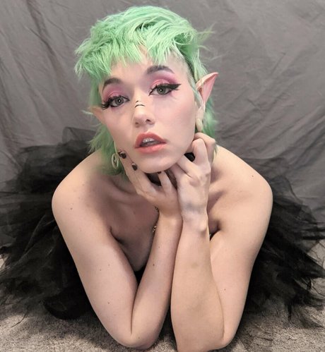 the land of odd bonita estrella galerías