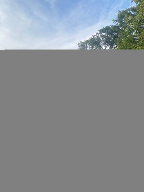 belleza trans onlyfans perfecto erótico recopilación