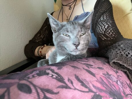 Zombby modelo superior fotos