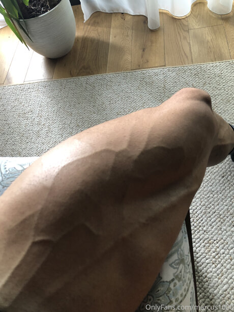 Marcus1000 estrella fotos