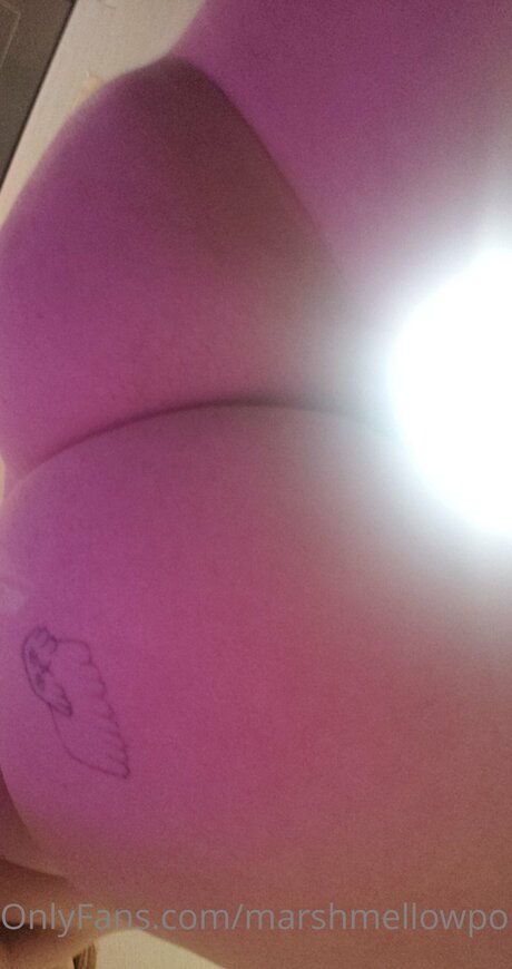 Marshmellowponi modelo gratis imagen