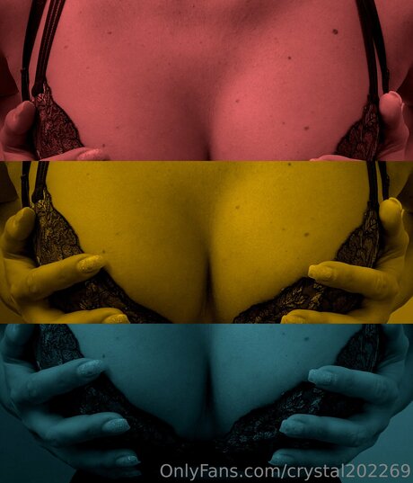 Crystal202269 estrella de alta calidad galerías