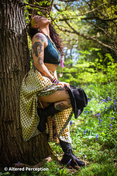 Novemberreign Free estrella sexy archivo