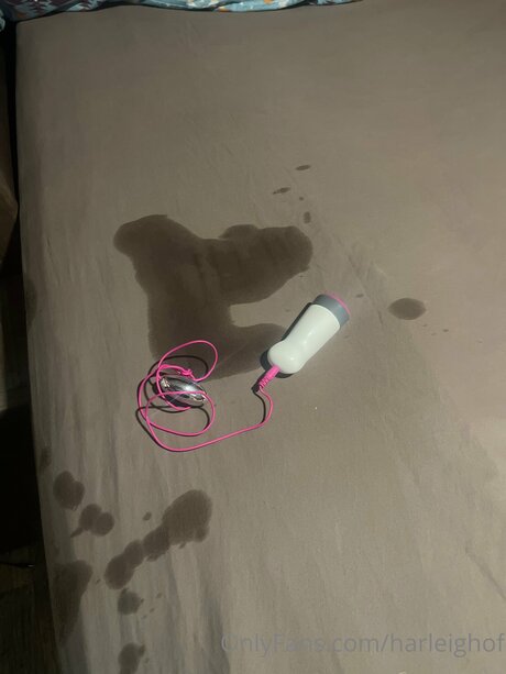 Harleighof mejor modelo fotos