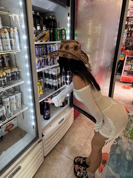 Viennaskai linda estrella fotos