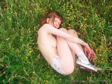 Thesearchofgod estrella agradable archivo