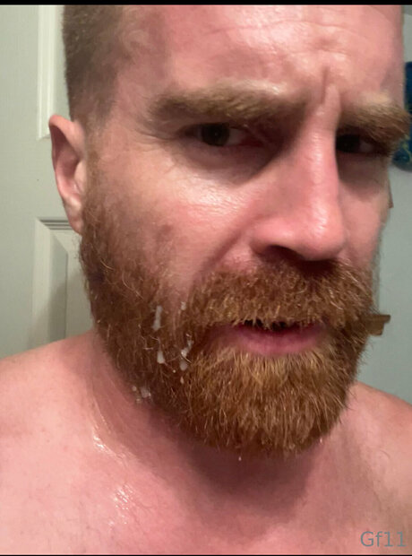 Mwebster6 libre de estrellas imagen