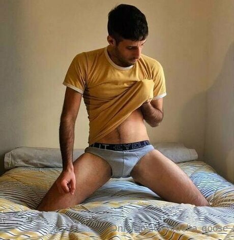 Delta Goose estrella porno de alta calidad foto