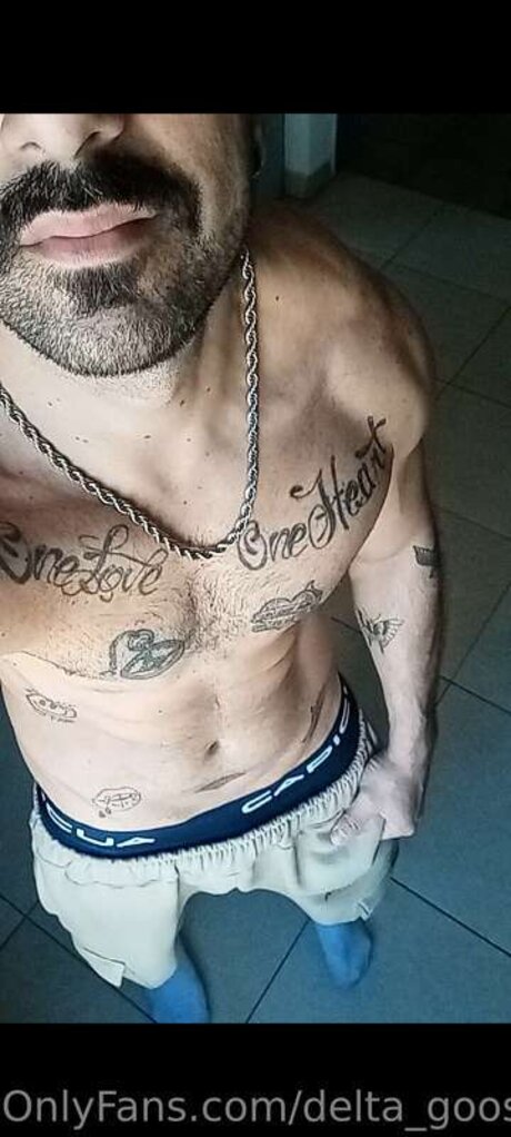 Delta Goose actriz porno galerías