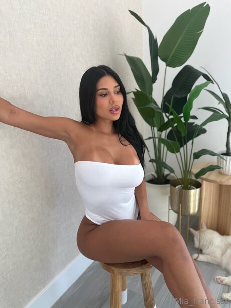 Miafrancis estrella bonita galerías