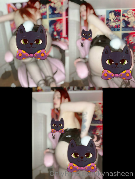 kynasheen estrella de alta calidad fotos