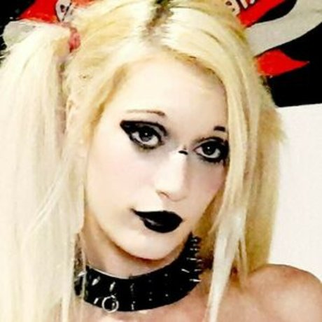 Newfoundland arte estelar foto