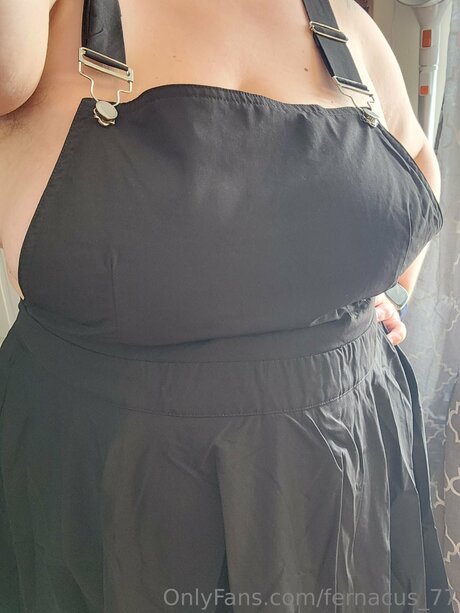 Fernacus 77 modelo mejor galerías