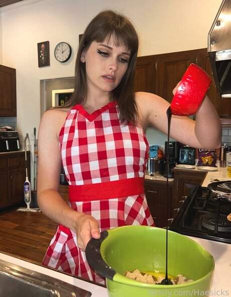 Haesicks buen modelo galerías