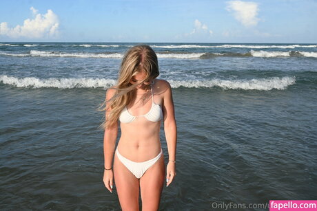 harlowellis libre de estrellas archivo