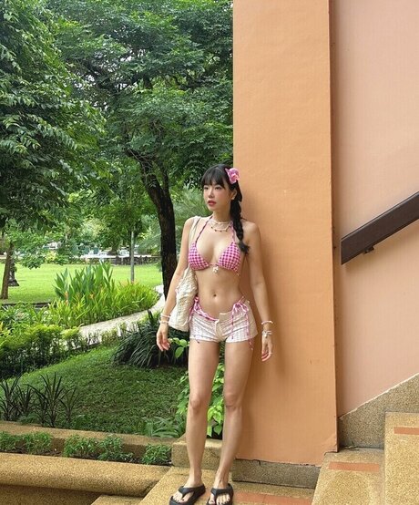 still need estrella perfecta recopilación