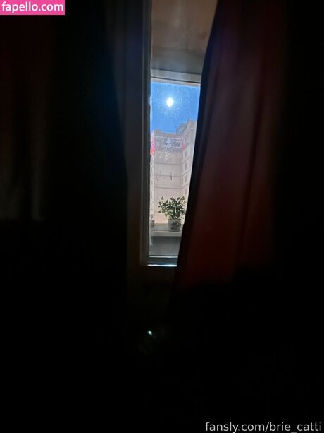 Brie cattii estrella porno gratis galerías