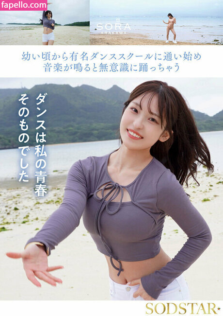 Sora Arakawa modelo de arte recopilación