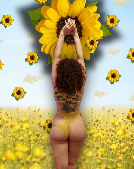 Dot Addams estrella hermosa imágenes