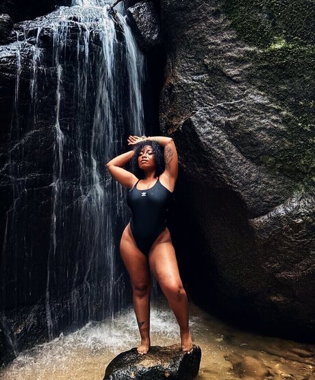 kortynie estrella de alta calidad imagen