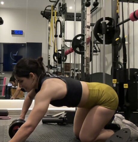 Alanalarana estrella del arte recopilación