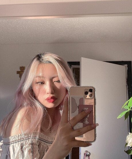 dalcompeach estrella superior fotos