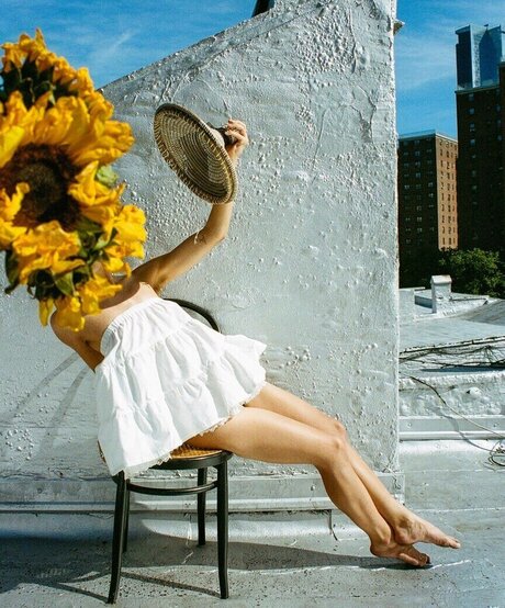 Dora Jar arte estelar archivo