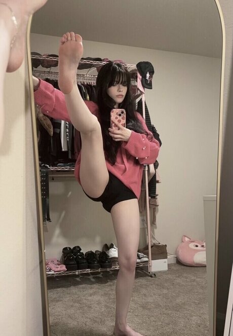 isizzly estrella perfecta imágenes