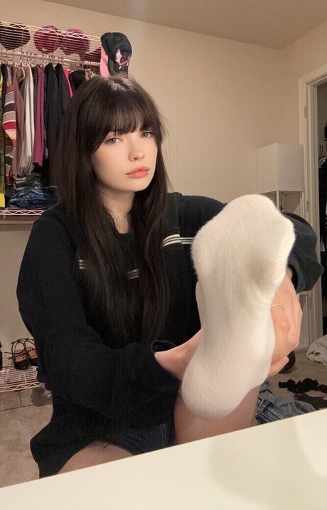 isizzly libre de estrellas foto