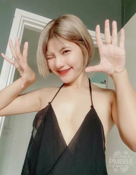 tonaor r estrella bonita galerías