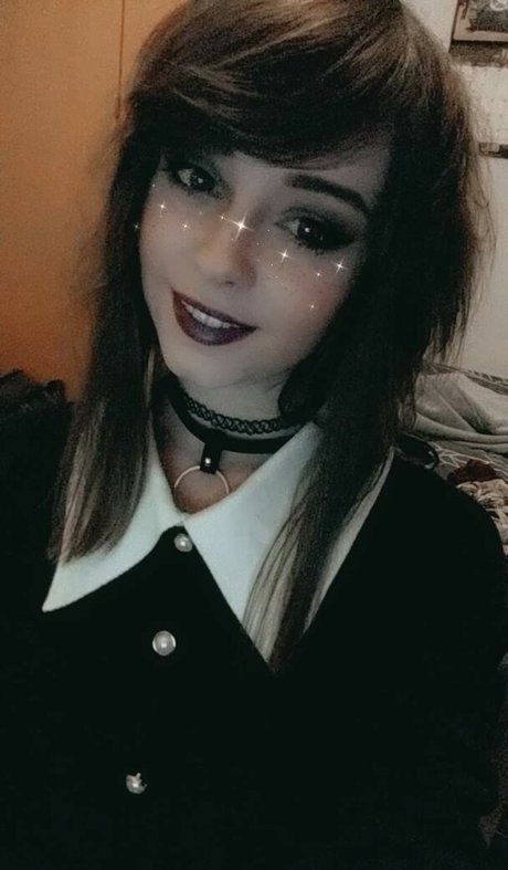 Apricot estrella bonita imágenes