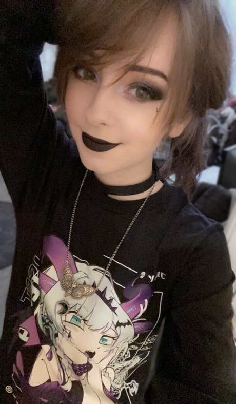 Apricot estrella hd archivo