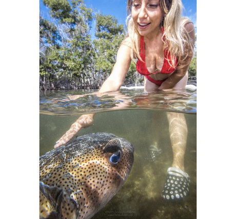 Gabby Nikolle modelo erótico recopilación