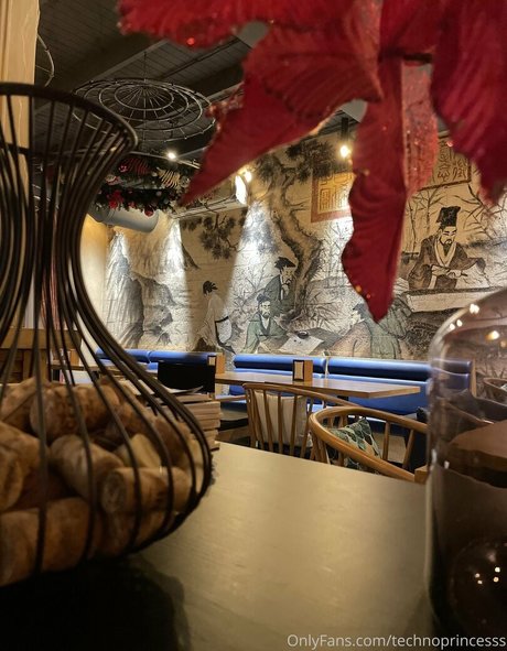 technoprincesss bonita modelo foto