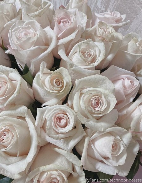 technoprincesss modelo desnudo fotos