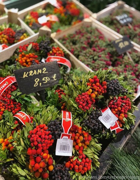 technoprincesss buena actriz recopilación