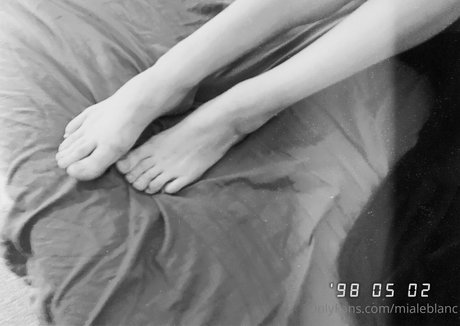 mialeblanc Profilfoto